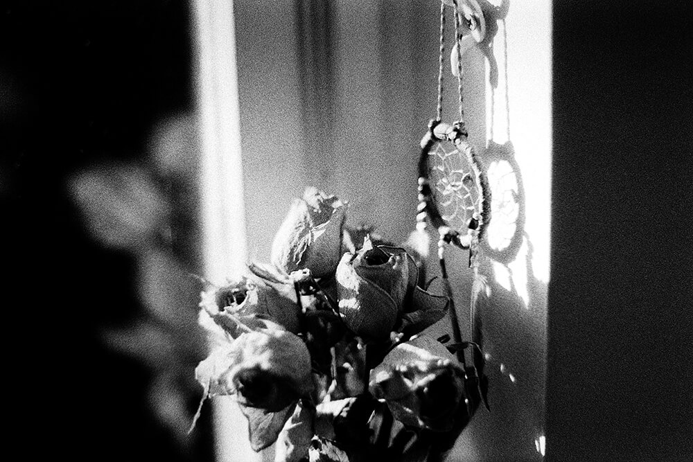 Dried Roses and a Dreamcatcher in my flat ©Samuel F.